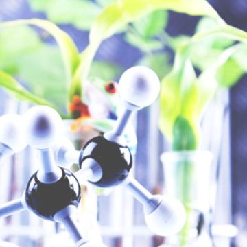 Lunch and Learn Seminar