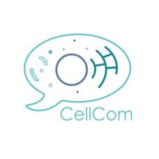 CellCom Seminar
