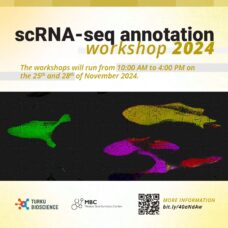 Save the Date! scRNA-seq annotation workshop arranged in 25 and 28 November 2024