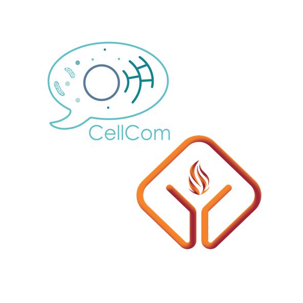 CellCom and InFLAMES Seminar