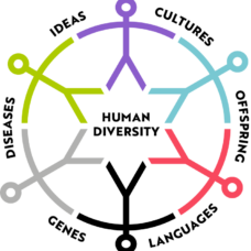 Human Diversity Seminar: Rohrlach