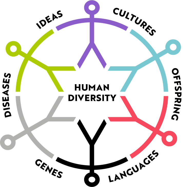 Human Diversity Seminar: Rohrlach