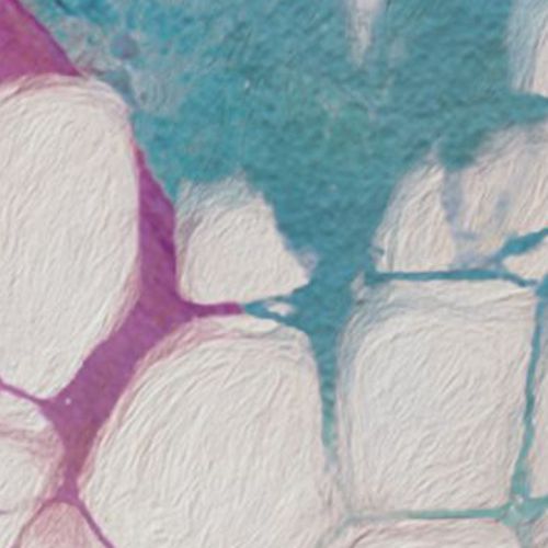 35th BioCity Symposium: Vision, expanded