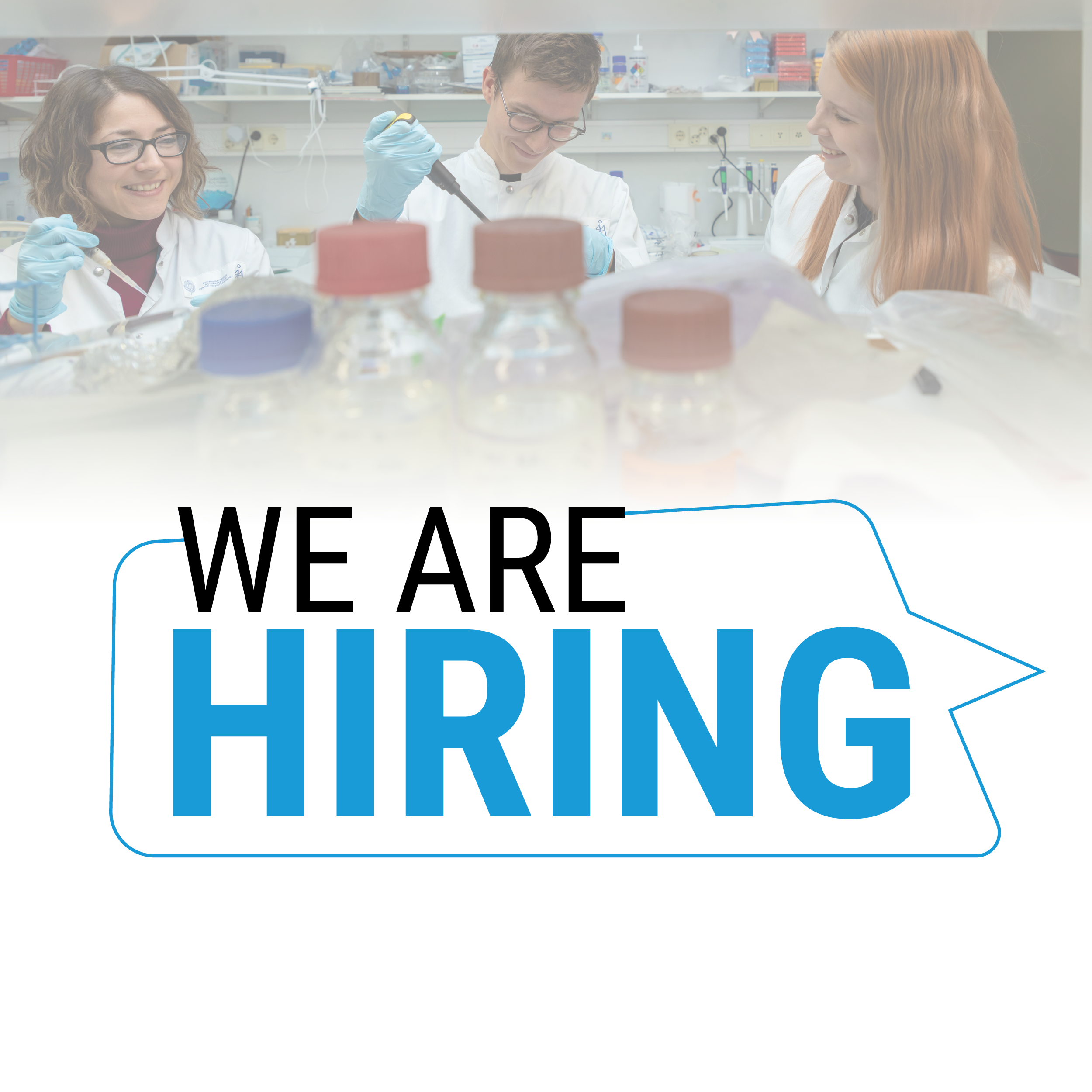 Turku Bioscience Centre Is Recruiting New Research Leaders